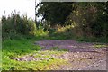 Footpath to Lunanhead from the Benzil / Carseburn Road