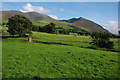 NY2331 : Skiddaw viewed from Bassenthwaite by Philip Halling