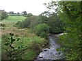 The Nant Iechyd near Glynllan