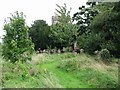 Lyminge church and graveyard