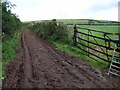 Track up Mynydd Ysgubor/Skybir Mountain