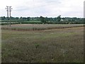 Farmland north of Hinckley