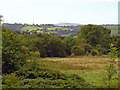 Rough pasture near Clyngwynne, Llanboidy