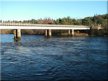 NO1223 : Perth Railway Bridge by James Nicol