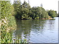 Lake at Papercourt