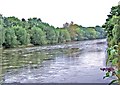 River Severn by Severnside South looking downstream