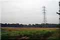TQ8024 : Field & Pylon near Ewhurst Green, East Sussex by Oast House Archive