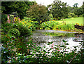 Wallington walled garden