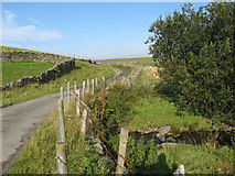 SH8649 : Minor road near Carreg-y-blaidd by Jonathan Wilkins