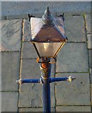 SD3348 : A seagulls view of a Fleetwood lamppost by Steve  Fareham