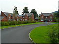 Rectory Meadow, Weston-under-Penyard