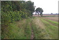  : Field edge footpath near High House Farm by Andrew Hill