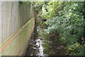 The Quaggy River in Manor House Gardens, Lee