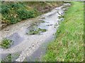 Winterbourne Stream