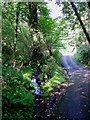 Nant Sylltyn, Beulah: upstream