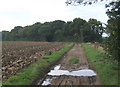 Track towards Crow Hall from Winneygreen Farm