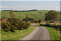 Hill road near Cefn-y-cownen