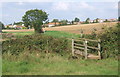 Footbridge and path towards Ringshall