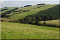 Fields near Blaenbythigion