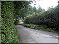 Lane outside Dol-llys Farm