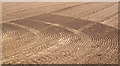 Detail of intricate field cultivation patterns