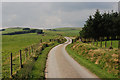 Cattle grid near Maenhinon