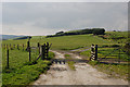 Diverging bridleways