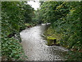 The river Alyn at Rossett