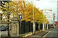 Autumn colours, Belfast