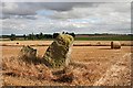 Standing Stones