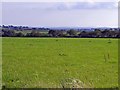 Pasture near Llech-gron, Trelech