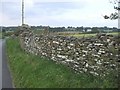 Drystone wall, near Maendy Farm, Church Village