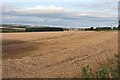 Harvest near Auquhorthies