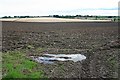 Ploughed Land near Auchnieve