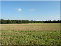 TL5859 : Farmland near the A11 / A14 intersection, looking SE by Keith Edkins