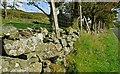 Drystone wall near Kilcoo and Slievenaman