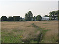 Woolwich Common: footpath to the hospital