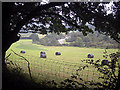 Field beside Afon Ystwyth