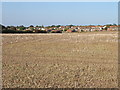 View across field to houses on St Richard