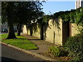 Wall and trees, Salem Street