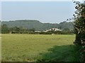 Pasture and woodland near Llanharry