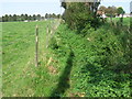 Path towards North Fareham Farm