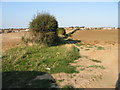 Footpath to St Richard