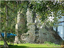 TM4163 : Remains of church, Knodishall Green by John Goldsmith