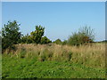 Former runway, Shepherds Grove airfield