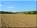 Spring Barn