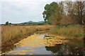 Fishing Pond, Whitehouse Farm