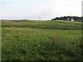 Fields near Greenknowe