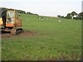 Pasture at Fawside