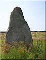 The Blind Fiddler Standing Stone